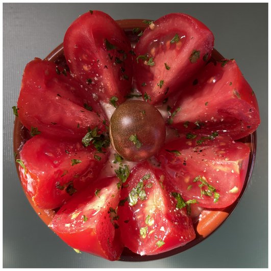 Thon au naturel, fromage blanc et tomates cocktail